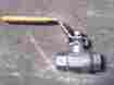 14891-401-b741 T.c.i Ball Valve Npt 1 4 Thrd X Stainless Steel 14281101