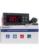 Kt1000 Ketotek Digital Temperature Controller Thermostat Two Relay Output