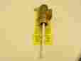 Lf100xl Watts 154456 New-no Box 3 4 Temp Pressure Relief Valve Npt 098268432350