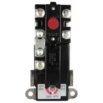 Rheem SP11699 Replacement Thermostat, Electric. Fixed Price $25.29.