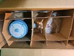 United Electric E121-4BS Temperature Switch, Explosion Proof, 25-100F-5 To 35C. Fixed Price $589.99.
