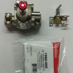 Robertshaw Kit With Thermocouple, Pilot And Safety Valve. Fixed Price $260.00.