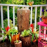 Natures Feast Wild Bird, Squirrel & Critter Feeder. Tree Stand Buffet For. Fixed Price $159.00.