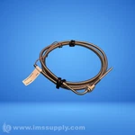 Watlow 32DJHGG060B Rigid Sheath Thermocouple Fnip. Fixed Price $156.00.