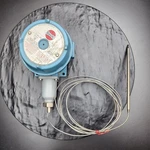 Thermon E7-25325 Adjustable Control Thermostat Switch 22A 125-480VAC. Fixed Price $143.96.